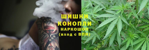 прущая мука Елабуга