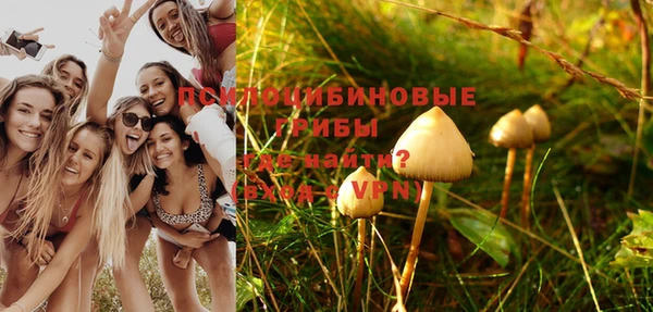 крисы Елизово