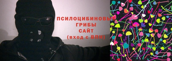 первитин Ельня