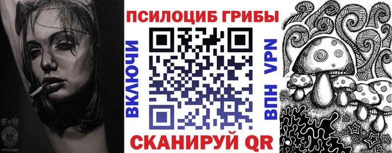 Псилоцибиновые грибы Psilocybine cubensis  Пикалёво 